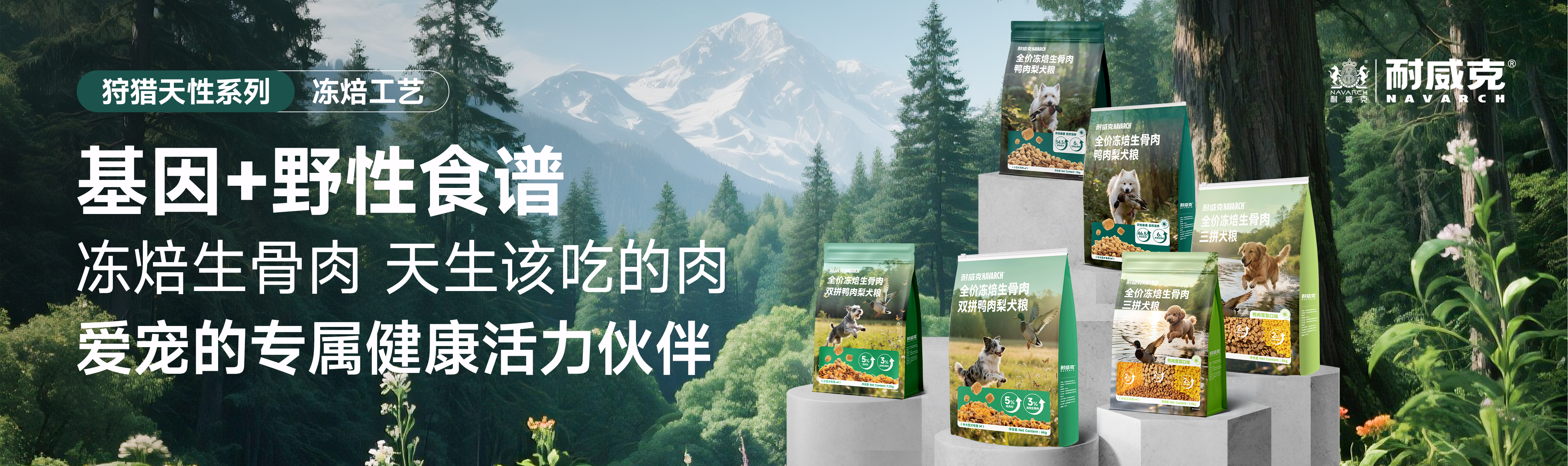 首頁Banner1